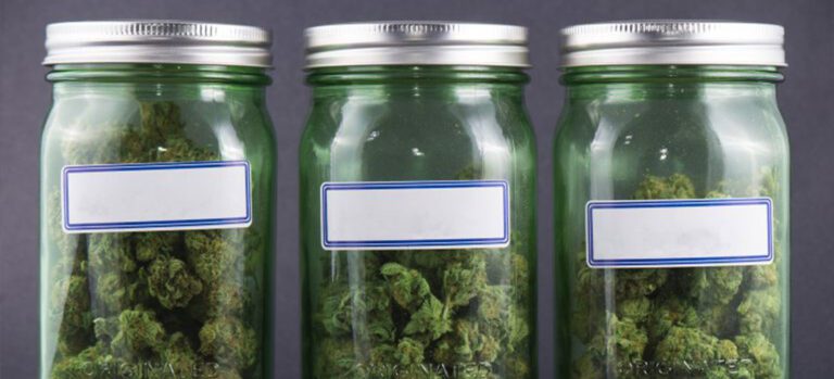 Cannabis Users Will Welcome Private Retailers, But Opposition Is Likely To Emerge