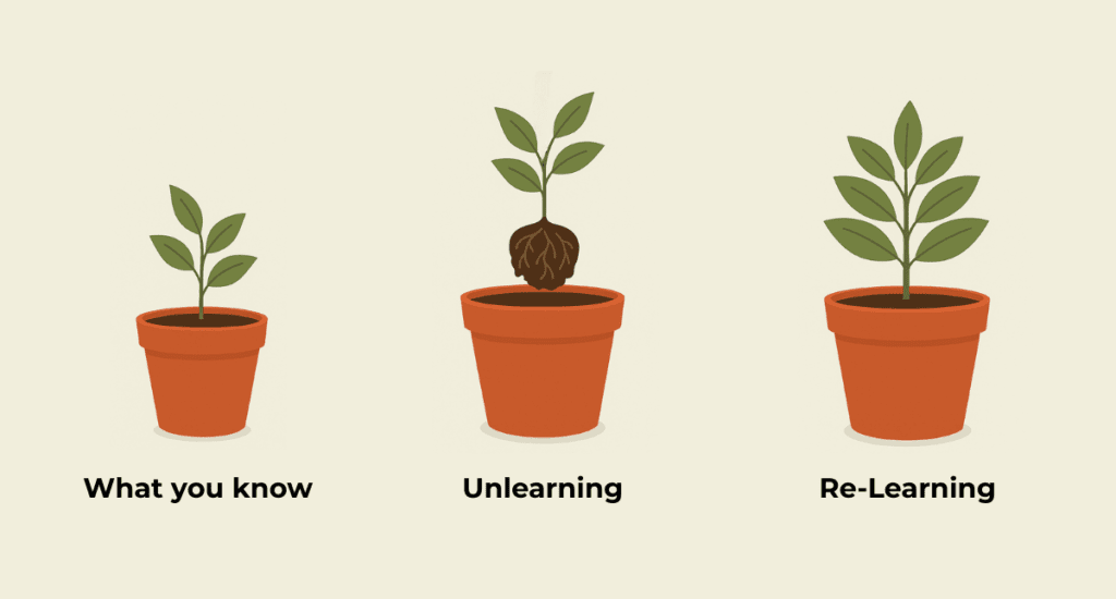 Image created with AI to illustrate unlearning: growth requires letting go of old assumptions, just as a plant must be repotted to thrive