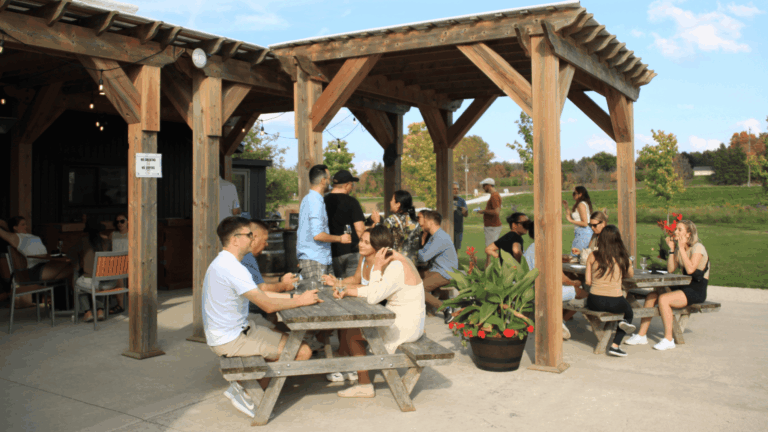 Environics Research Staff sitting on benches wine tasting at a vineyard.
