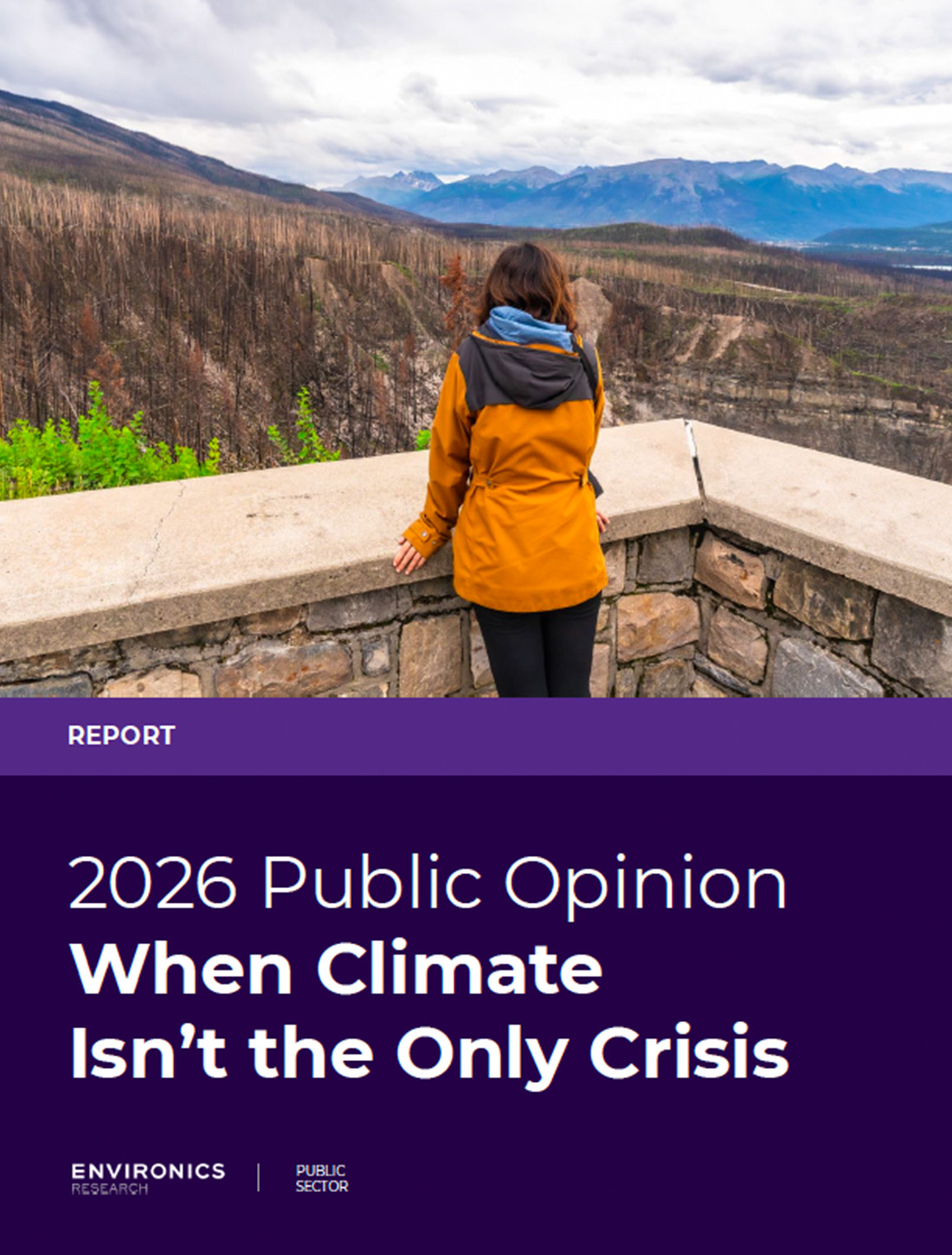 report cover of when climate isn't the only crisis